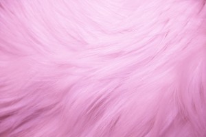 Pink Fur Texture - Free High Resolution Photo
