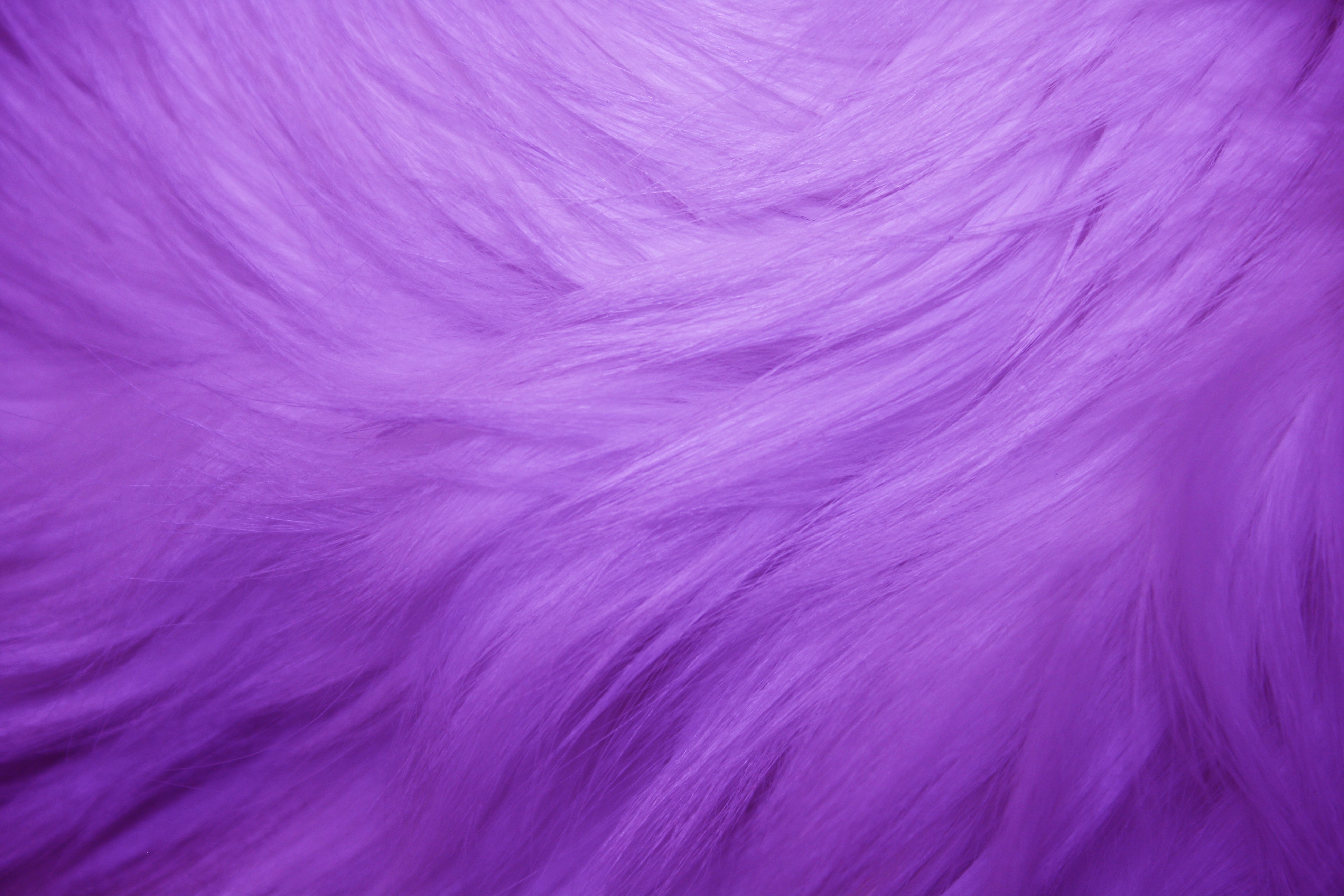 Pink Fur Texture Picture, Free Photograph