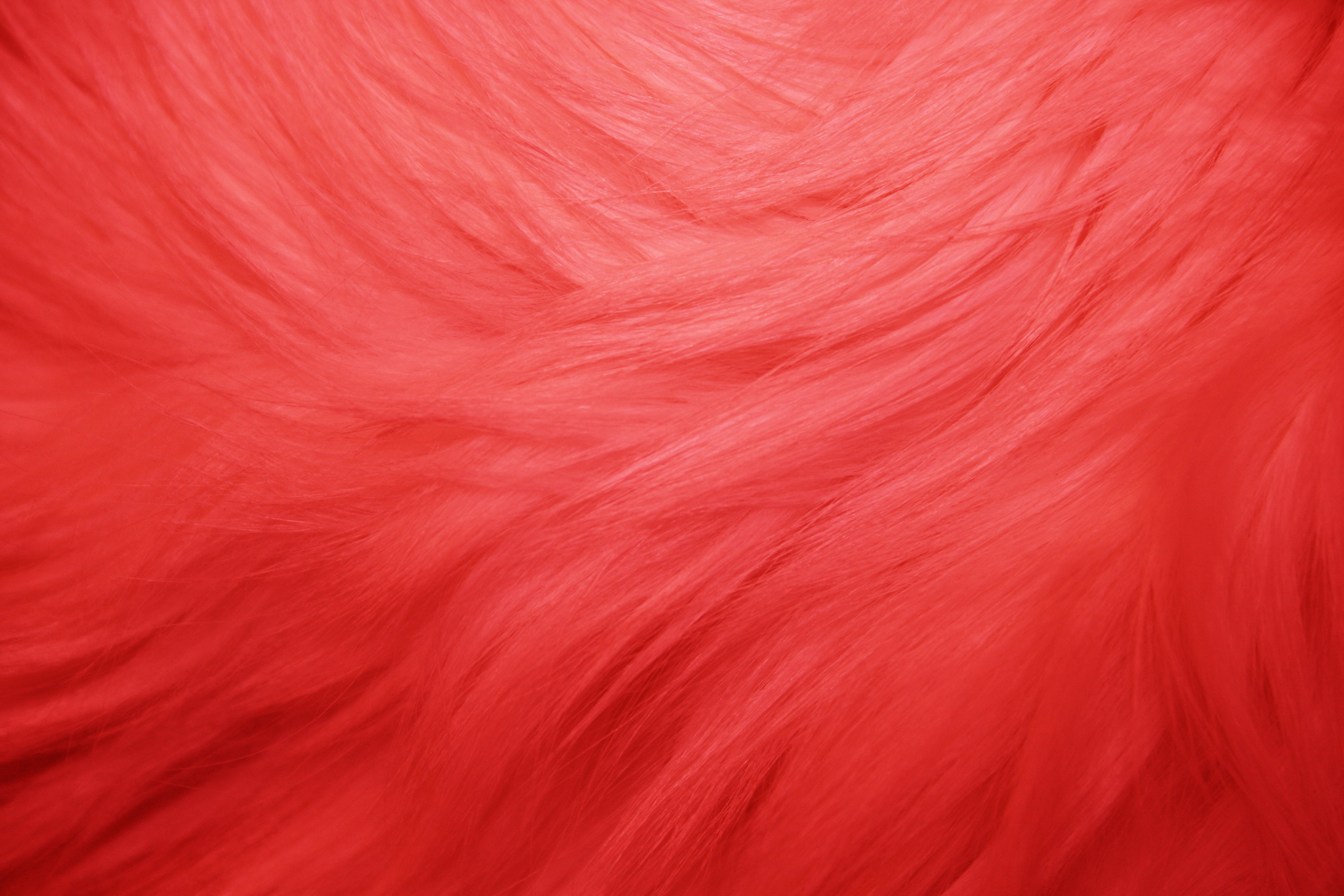 Red Fur Texture Picture, Free Photograph