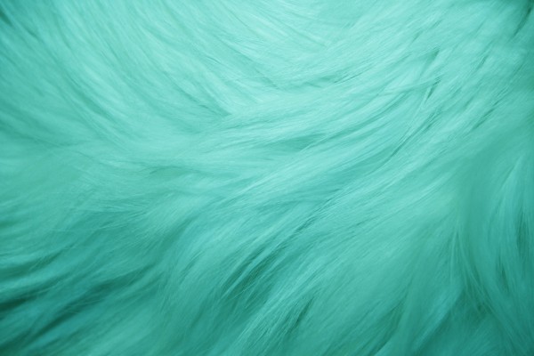 Teal Fur Texture - Free High Resolution Photo