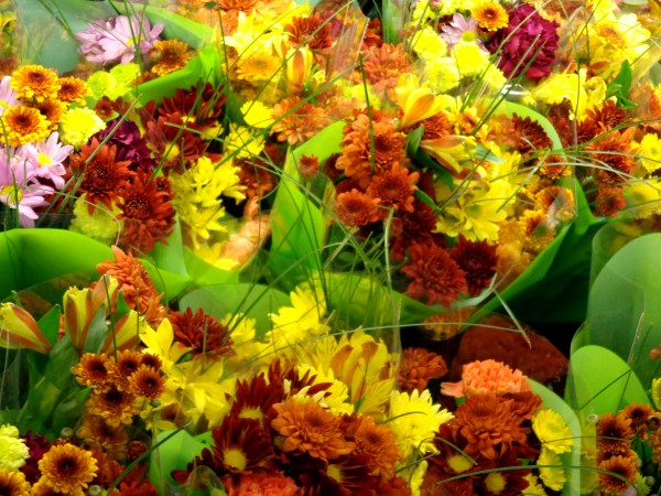 Fall Floral Bouquets Texture - Free High Resolution Photo