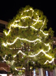 Outdoor Christmas Tree with Lighted Garlands - Free High Resolution Photo