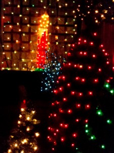 Christmas Lights Candle and Trees - Free High Resolution Photo