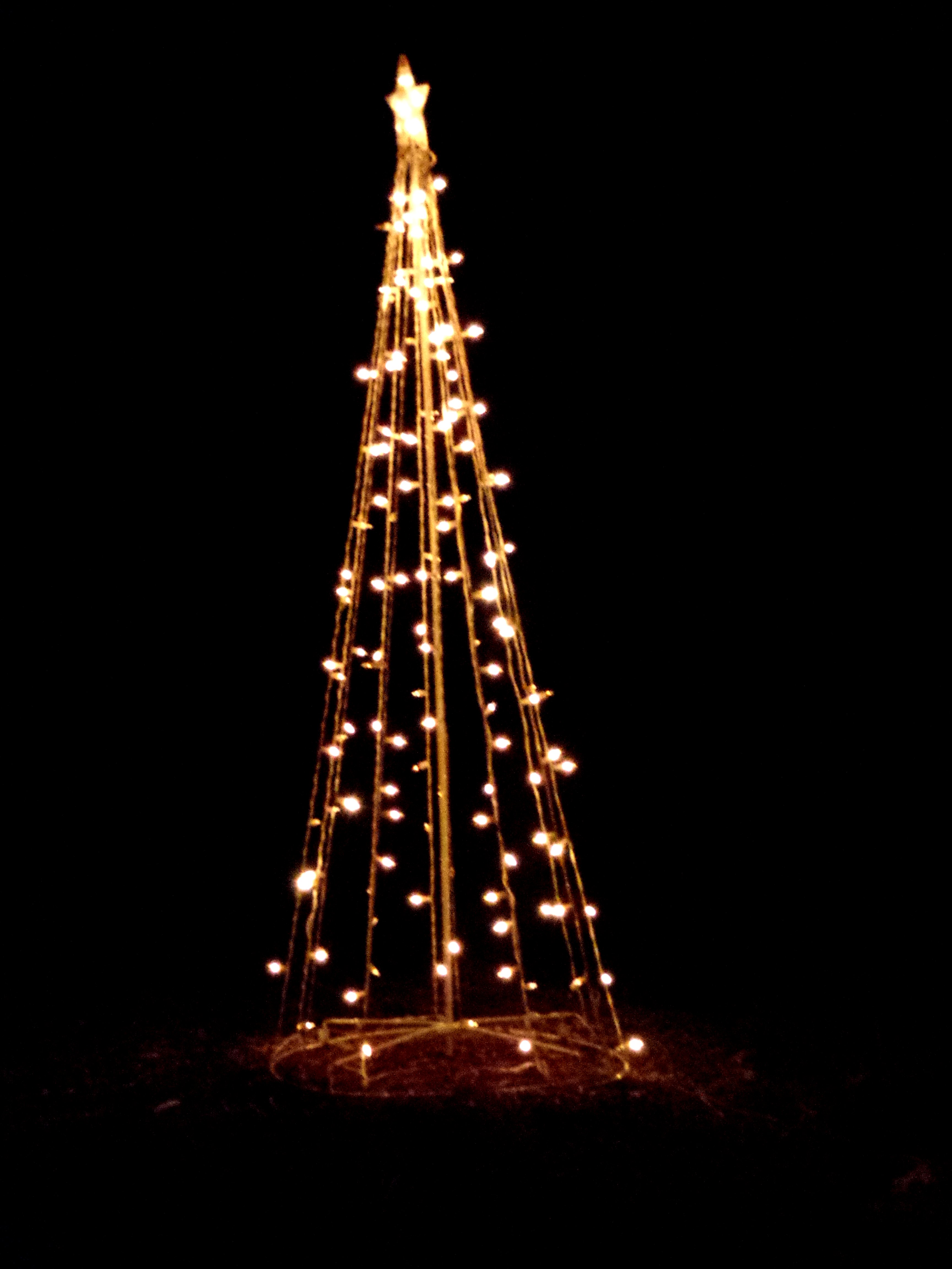 Christmas Lights On Outside Trees - Photos