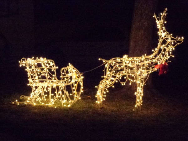 Christmas Reindeer Pulling Sleigh - Lighted Holiday Decoration - Free High Resolution Photo