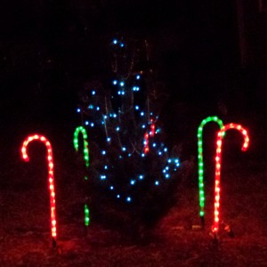 Christmas Tree and Candy Cane Lights - Free High Resolution Photo