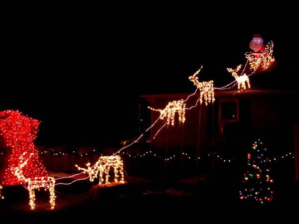 Reindeer Pulling Santa's Sleigh Holiday Christmas Lights - Free High Resolution Photo