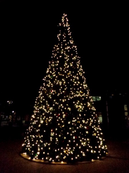 White Christmas Tree Lights at Night - Free High Resolution Photo