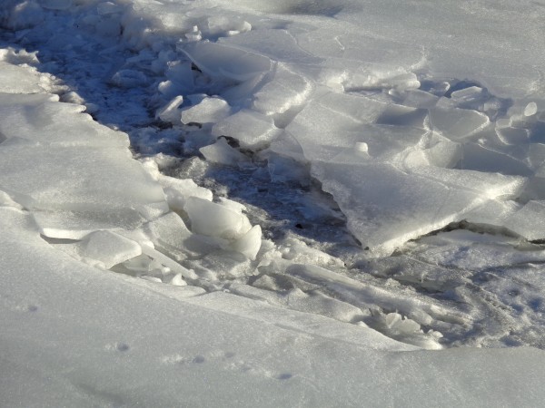 Broken Ice atop Winter Stream Bed - Free High Resolution Photo