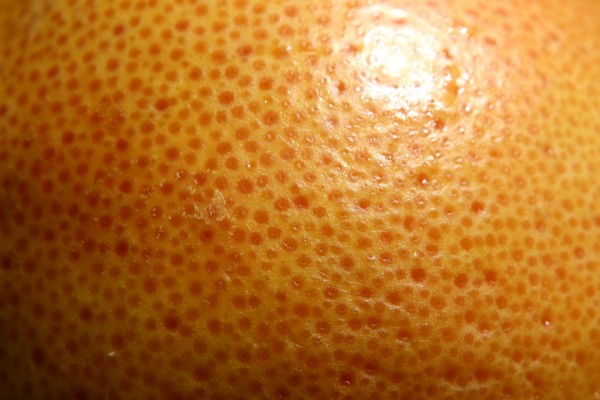 Grapefruit Skin Macro Texture - Free High Resolution Photo