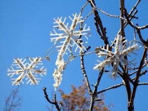 Snowflake Light Decorations in Tree Branches - Free High Resolution Photo