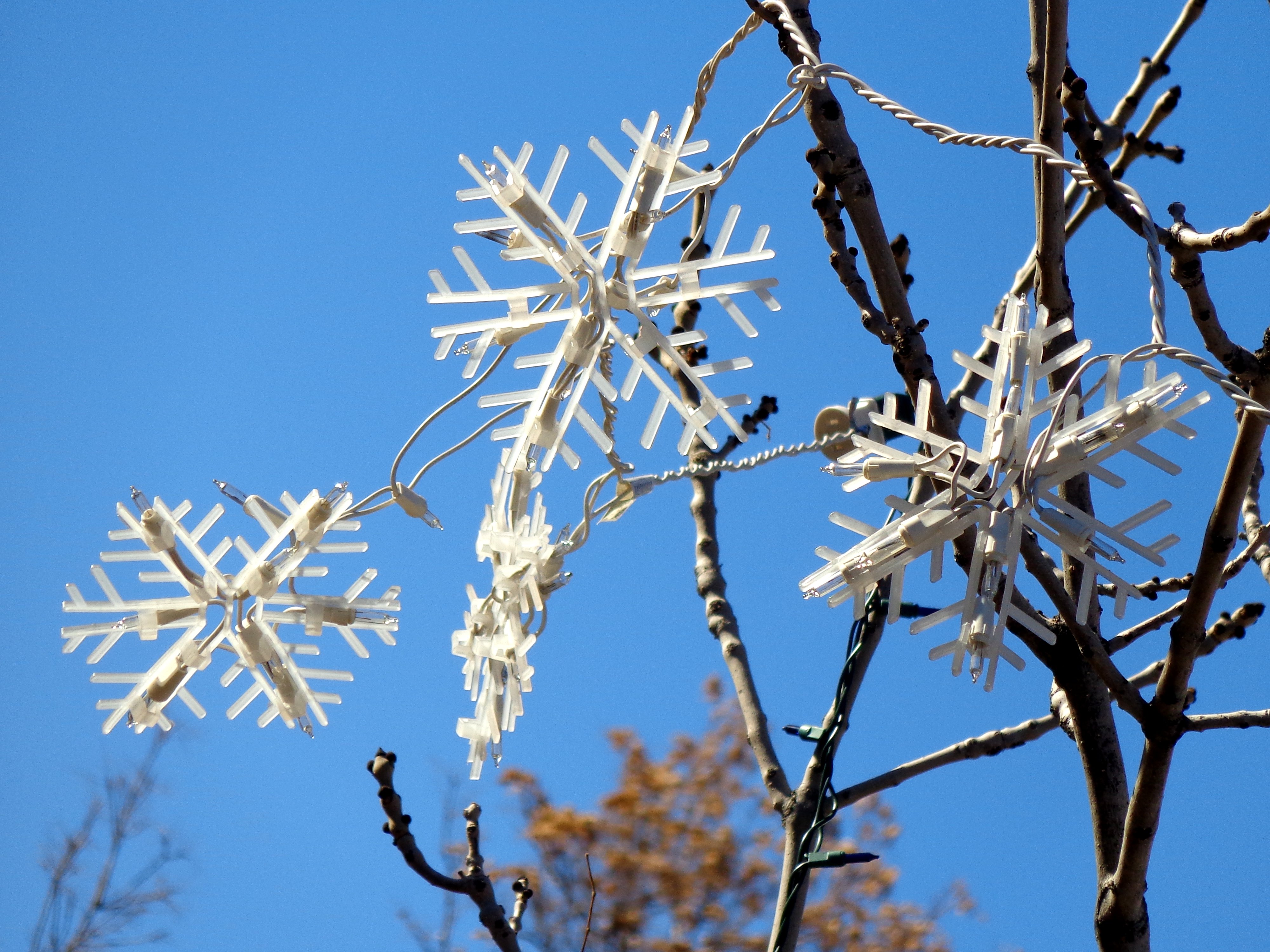 Closeup of Christmas tree branches with snowflakes - a Royalty