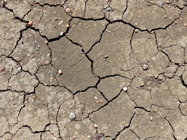 Dried Mud Cracks Texture - Free High Resolution Photo
