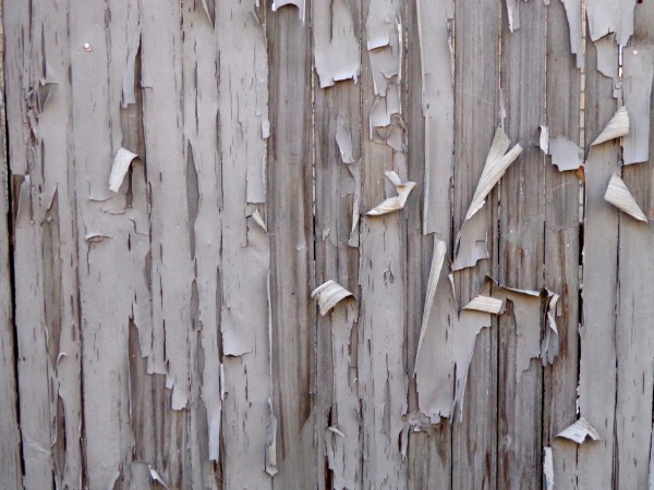 Peeling Paint on Fence Boards Texture - Free High Resolution Photo