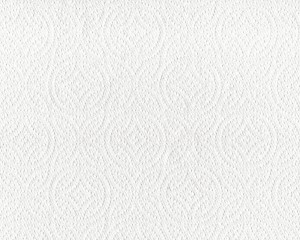 White Paper Towel Texture - Free High Resolution Photo