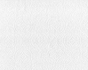 White Paper Towel Texture - Free High Resolution Photo