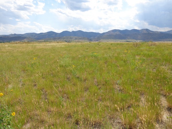 Prairie with Mountains in the Distance - Free High Resolution Photo