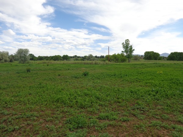 Green Field with Blue Sky Above - Free High Resolution Photo