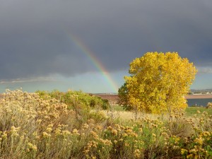 Autumn Rainbow - Free High Resolution Photo