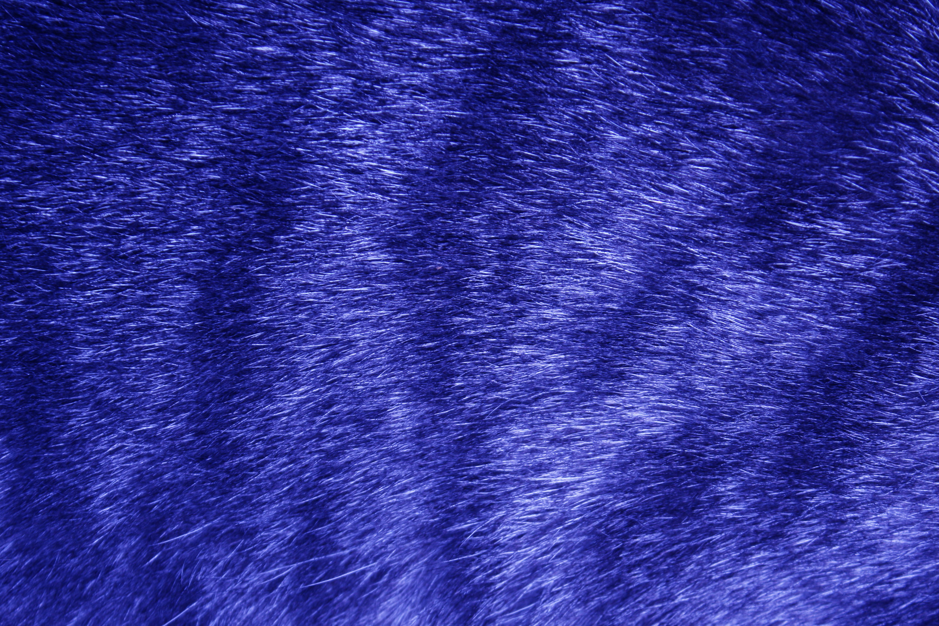 Фотошоп шерсть. Синяя шерсть. Голубой мех. Текстура шерсти. Мех фактура.