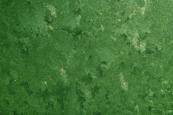 Frost on Glass Close Up Texture Colorized Green - Free High Resolution Photo