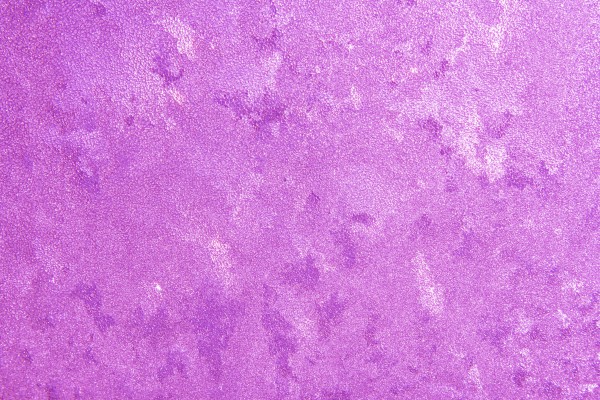 Frost on Glass Close Up Texture Colorized Purple - Free High Resolution Photo