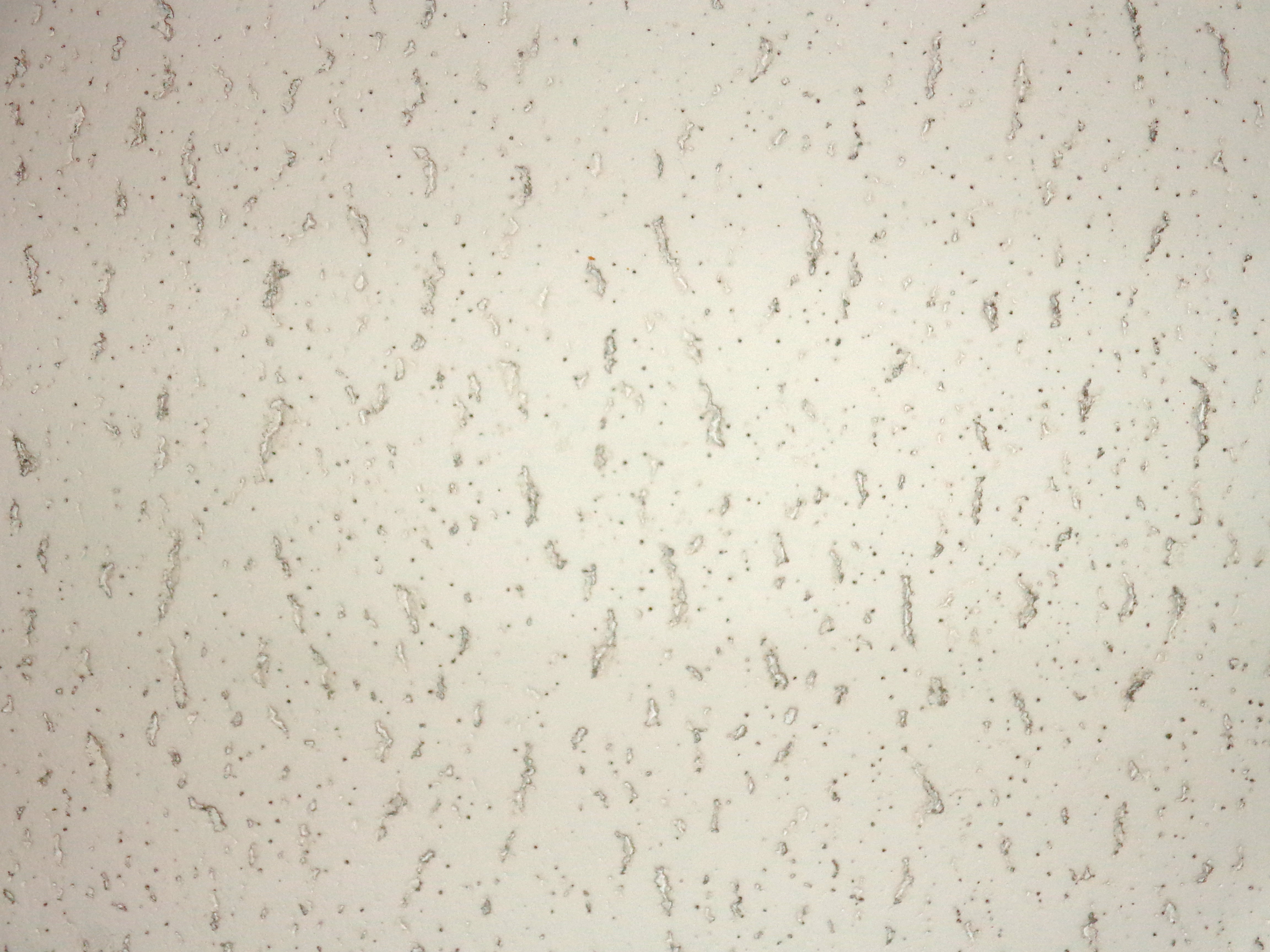 White Ceiling Tile Texture Picture Free Photograph Photos