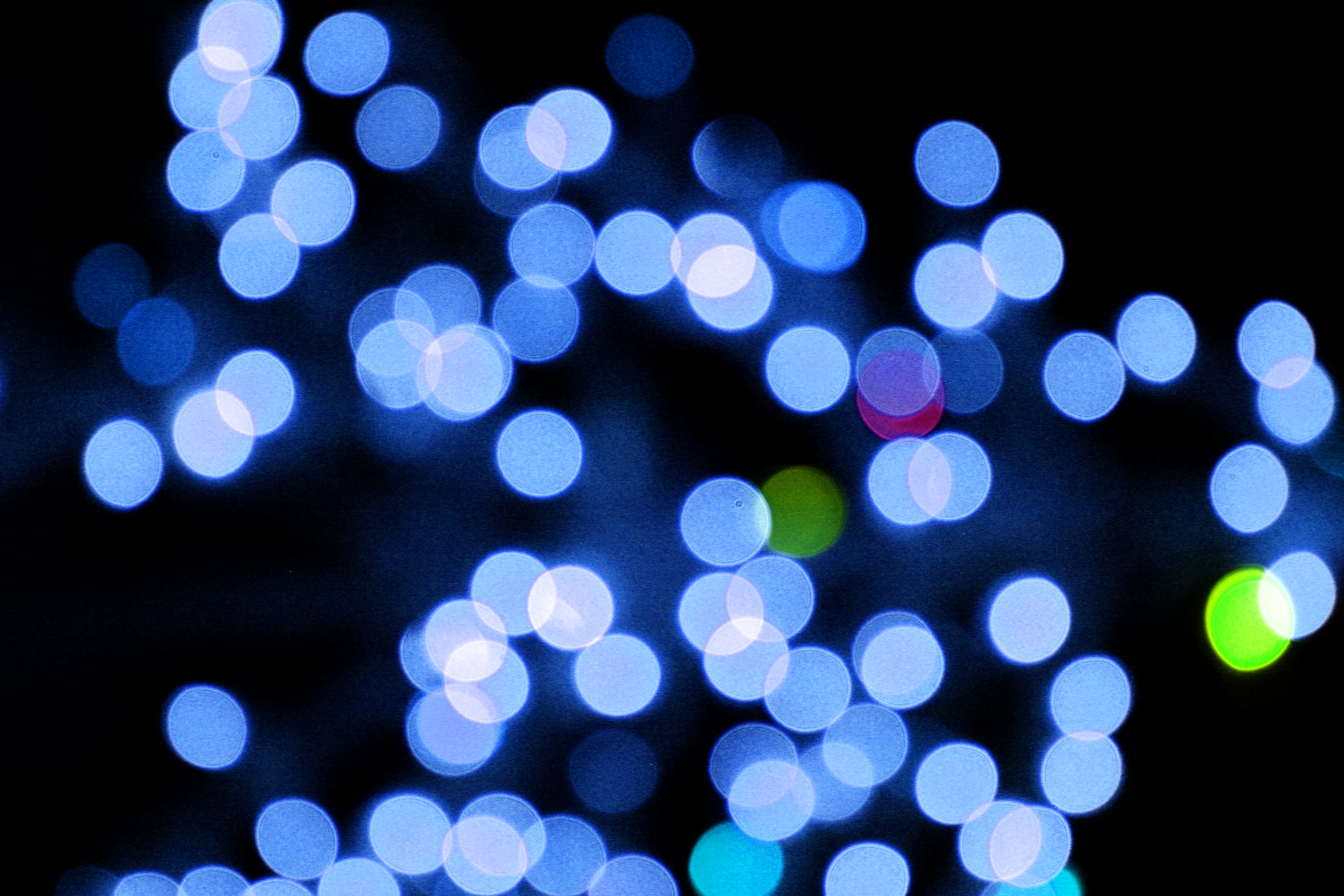 Blue Christmas Lights Background