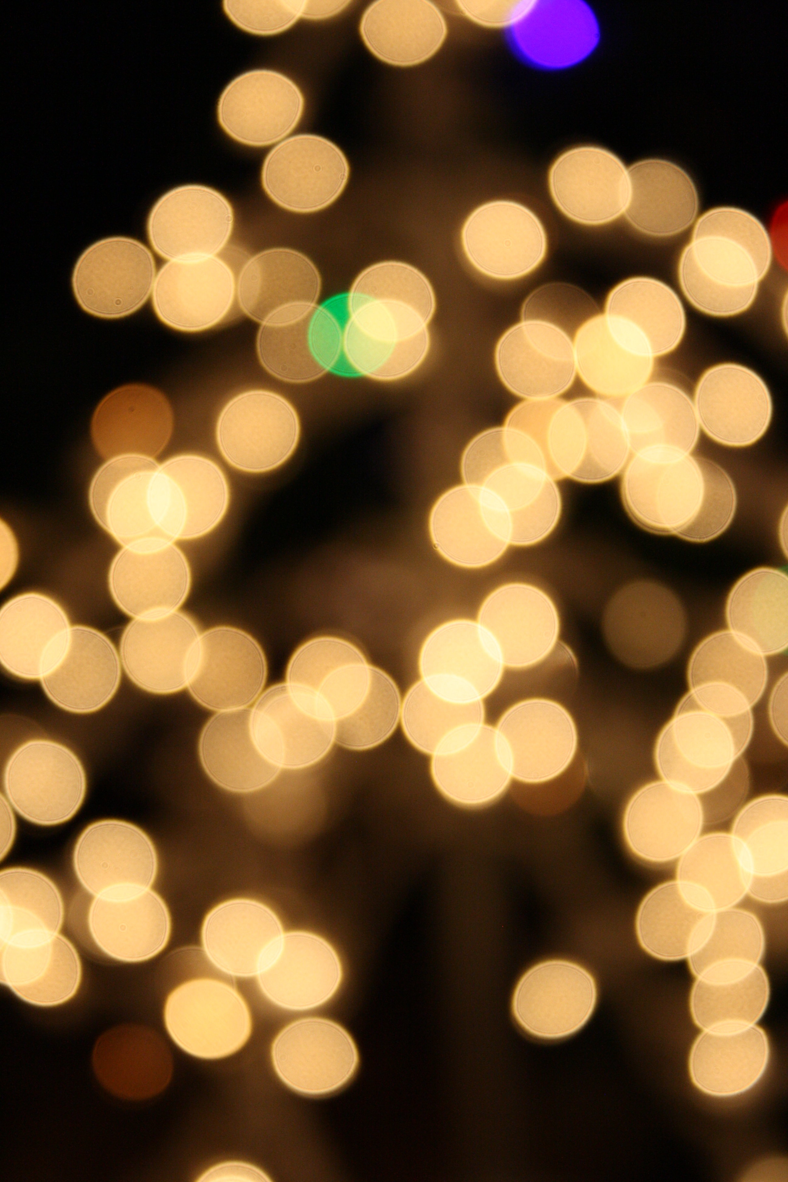 White Christmas Lights Picture | Free Photograph | Photos Public Domain