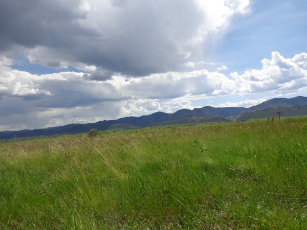 Green Meadow with Mountains in Background - Free High Resolution Photo