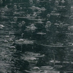 Raindrops, Bubbles and Ripples on the Water - Free High Resolution Photo