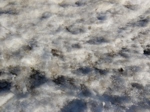 Dirty Snow Texture - Free High Resolution Photo