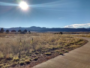 Sunny Landscape with Dry Brush and Mountain Background - Free High Resolution Photo