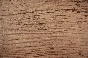 Wood Grain Closeup Texture with Brown Peeling Paint - Free High Resolution Photo