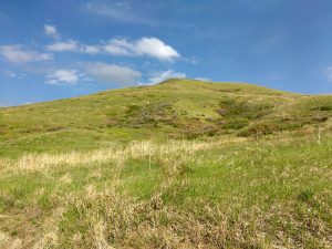 Grass Covered Hill - Free High Resolution Photo