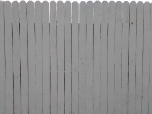 Painted Cedar Privacy Fence Texture - Free High Resolution Photo