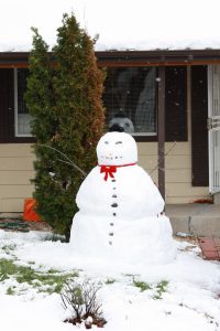 snowman - Free High Resolution Photo