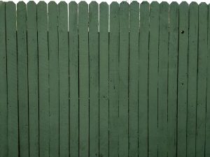 Green Painted Fence Texture - Free High Resolution Photo