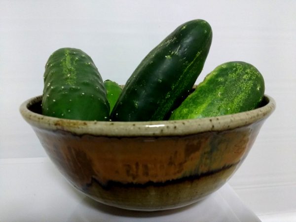 Bowl Full of Cucumbers - Free High Resolution Photo