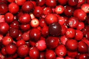 Cranberries - Free High Resolution Photo