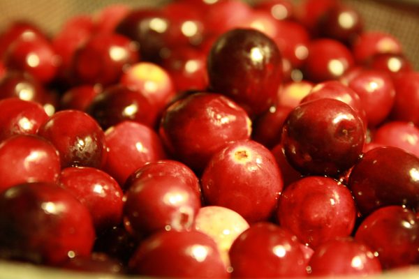 Freshly Washed Whole Cranberries - Free High Resolution Photo
