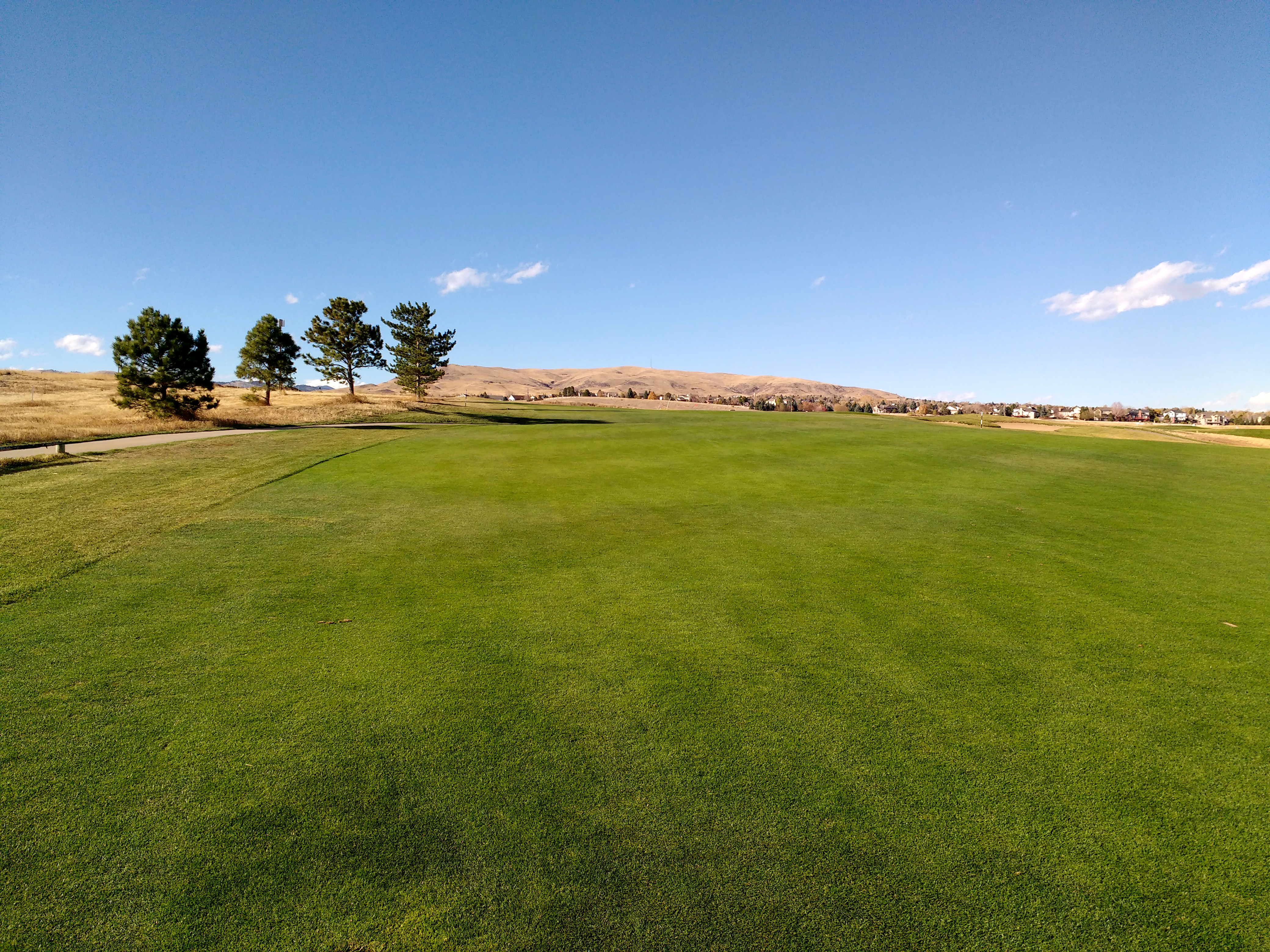 Green Grass and Blue Sky Landscape Picture | Free Photograph ...