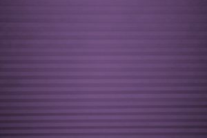 Purple Cellular Shade Texture - Free High Resolution Photo