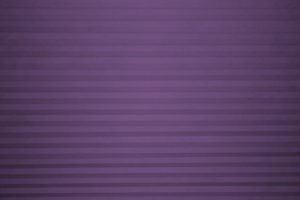 Purple Cellular Shade Texture - Free High Resolution Photo