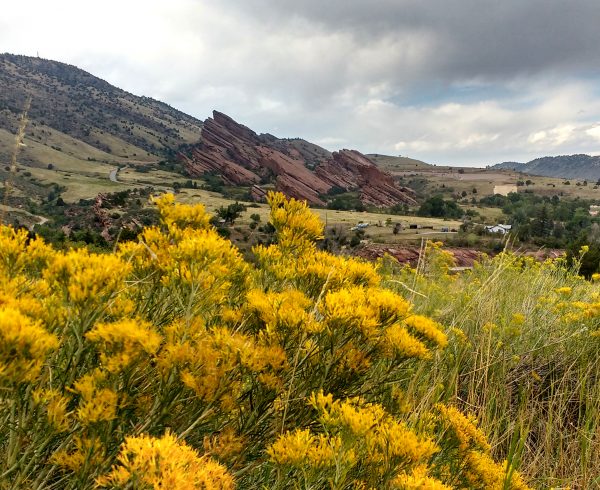 Red Rocks Park with Yellow Rabbitbrush - Free High Resolution Photo