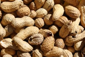 Roasted Peanuts in the Shell - Free High Resolution Photo