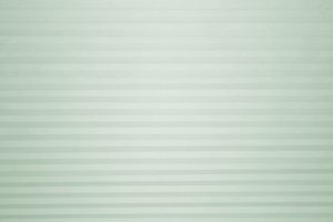 Sage Green Cellular Shade Texture - Free High Resolution Photo