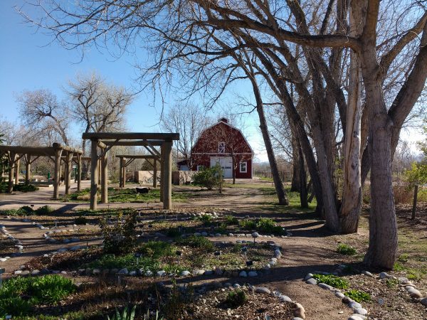 Spring Garden with Barn - Free High Resolution Photo