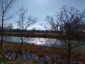 Sun Reflected in River on a Spring Day - Free High Resolution Photo