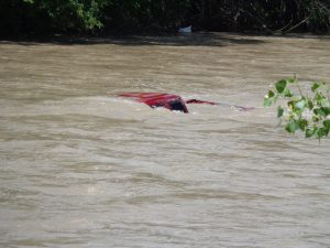 Truck Submerged in River - Free High Resolution Photo
